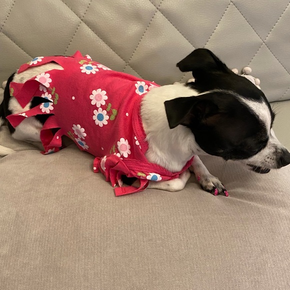 Pink flower small dog top XS